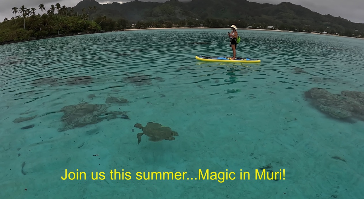 Paddleboard tours and advice