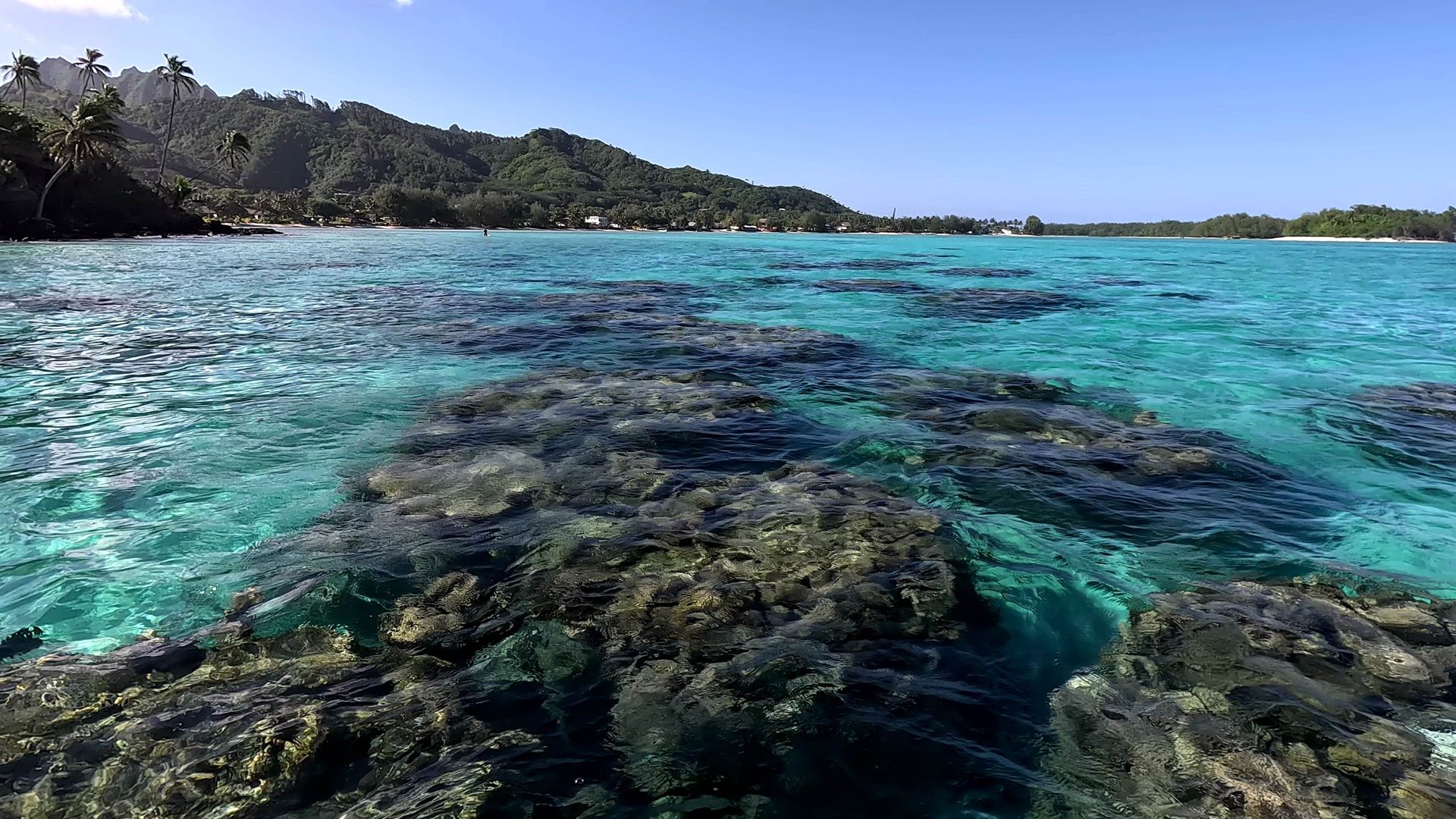 Stand-up paddleboarding across Rarotonga lagoon