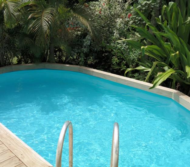 Tropical Garden Pool