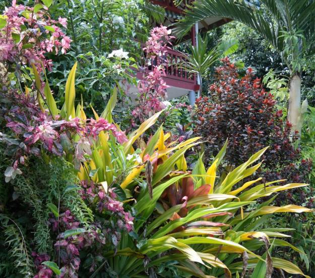 The colourful layered tropical gardens at Muri Retreat
