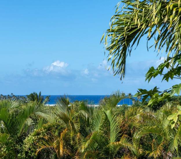 The peaceful tropical setting at Muri Retreat