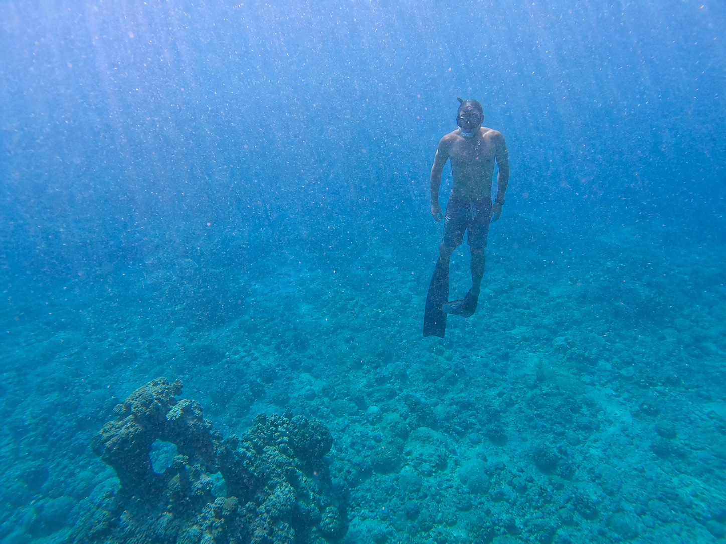 Simon freediving beneath the water in Rarotonga