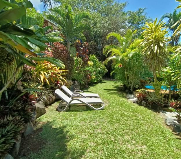Sun loungers in Muri Retreat's tropical gardens beside the pool